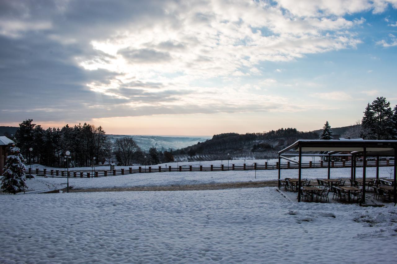 Bed and Breakfast Etno Naselje Vrdnicka Kula Врдник Экстерьер фото