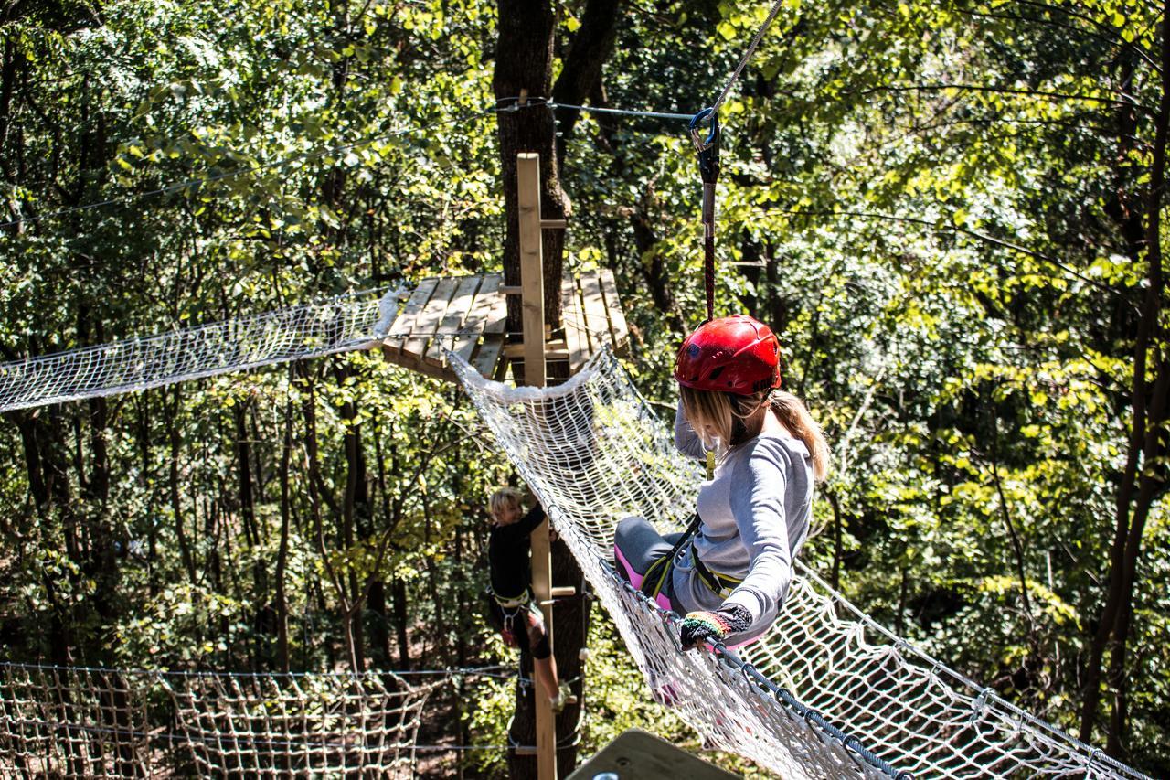 Bed and Breakfast Etno Naselje Vrdnicka Kula Врдник Экстерьер фото